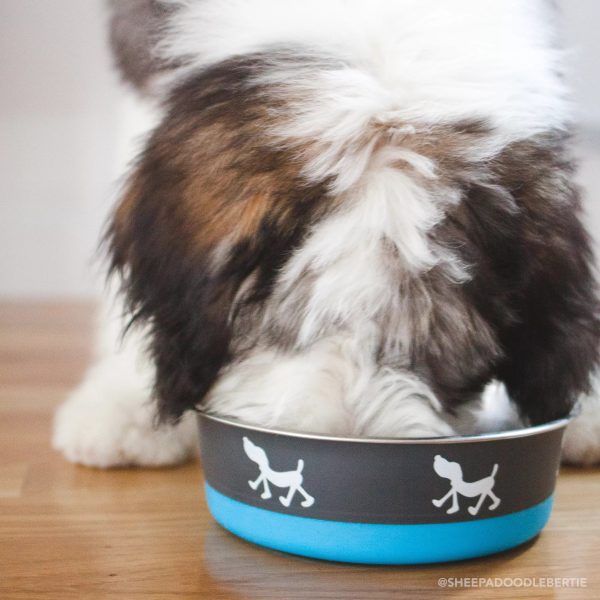 Coastal Pet Maslow Design Series Non-Skid Pup Design Dog Bowls Pink and Grey 1.75 cups Online