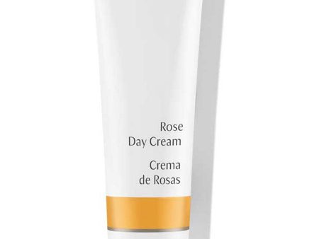 Dr. Hauschka Skin Care, Rose Day Cream, 1 fl oz For Cheap