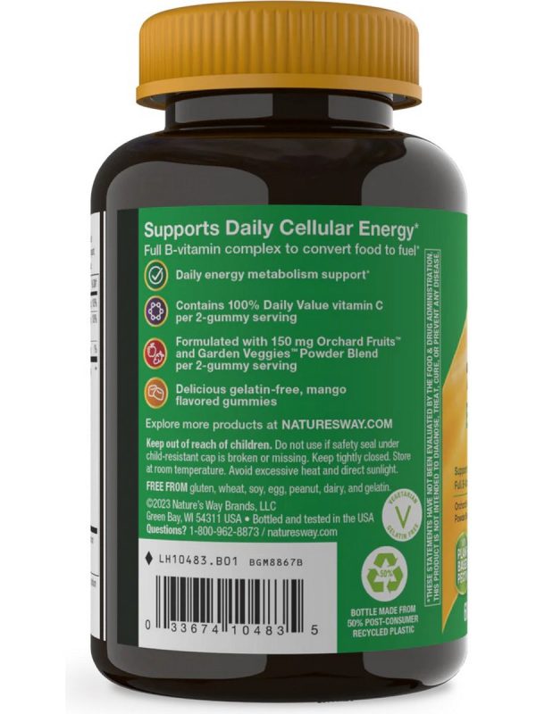 Nature s Way, Alive! B-Complex Gummies, Mango, 60 Gummies Discount