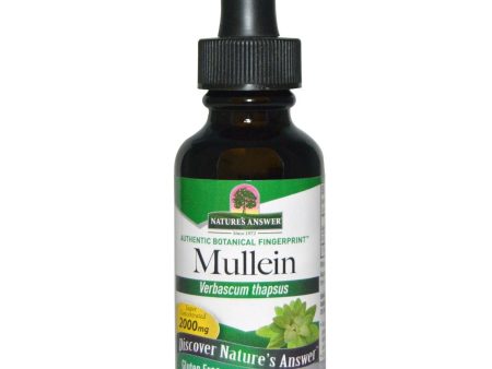 Nature s Answer, Mullein Leaves Alcohol Free Extract, 1 oz Hot on Sale