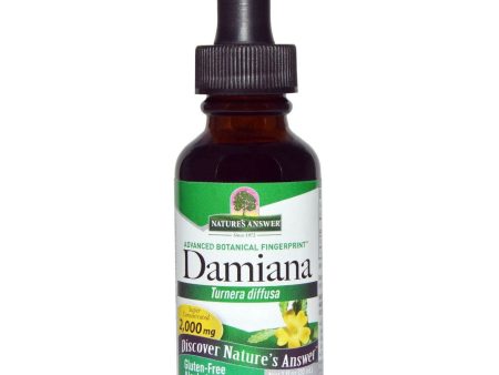 Nature s Answer, Damiana Leaves Alcohol Free Extract, 1 oz Cheap