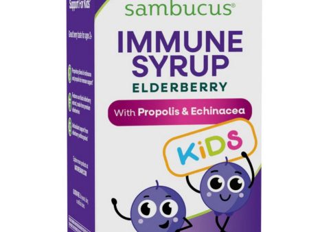 Nature s Way, Sambucus Immune Syrup for Kids, Elderberry, 4 fl oz Supply