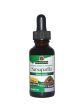 Nature s Answer, Sarsaparilla Alcohol Free Extract, 1 oz Online Hot Sale