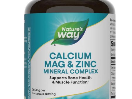 Nature s Way, Calcium, Magnesium & Zinc, 100 capsules Discount