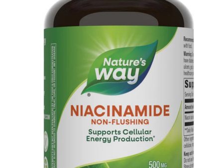 Nature s Way, Niacinamide, 100 capsules For Sale