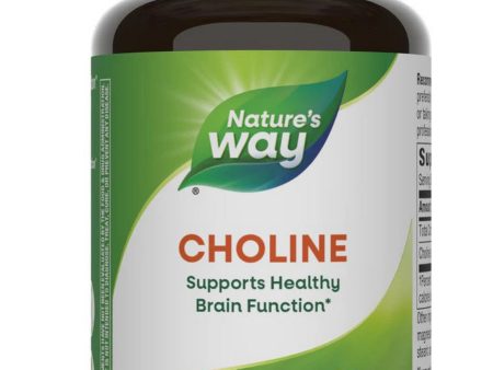 Nature s Way, Choline, 100 vegan tablets Sale