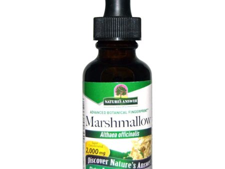 Nature s Answer, Marshmallow Root Alcohol Free Extract, 1 oz Discount