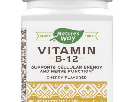 Nature s Way, Vitamin B12, Cherry, 100 Vegan Lozenges Hot on Sale