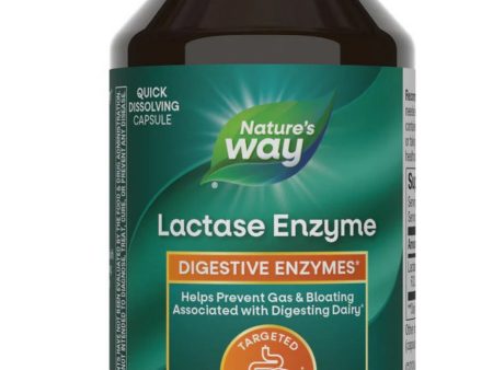 Nature s Way, Lactase Enzyme, 100 capsules Sale