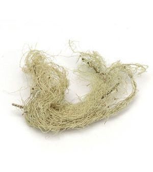 Starwest Botanicals, Usnea Lichen, 1 lb Whole Herb For Sale