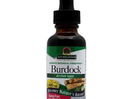 Nature s Answer, Burdock Root Extract, 1 oz Online Hot Sale