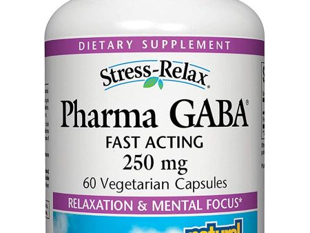 Natural Factors, Pharma GABA® 250 mg, 60 Vegetarian Capsules For Discount