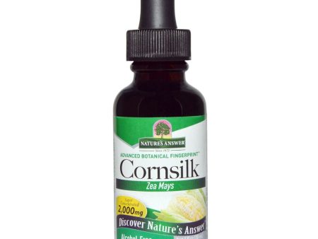 Nature s Answer, Cornsilk Alcohol Free Extract, 1 oz Online now