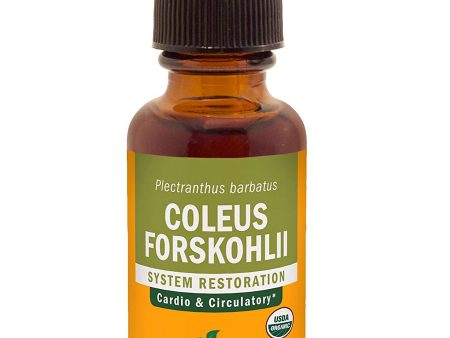 Herb Pharm, Coleus Forskohlii, 1 fl oz Online