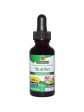 Nature s Answer, Slumber Alcohol Free Extract, 1 oz Online Hot Sale