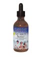 Planetary Herbals, Kids  Immune Protect, 4 oz Hot on Sale